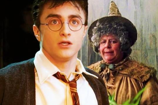 «Такой позор»: звезда «Гарри Поттера» прокомментировала критику взрослых фанатов