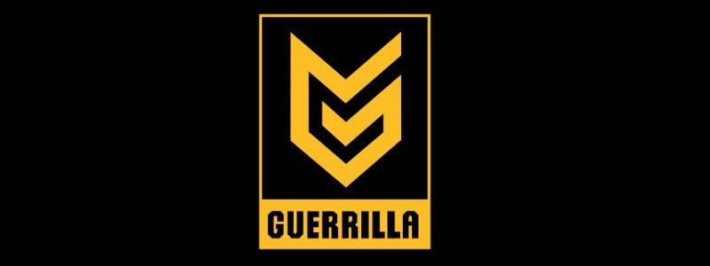 История студии Guerrilla Games: с чего все начиналось
