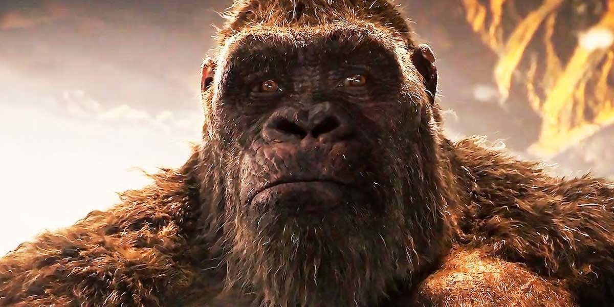 Игра Kong: Survivor Instinct покажет события после фильма «Годзилла против Конга»