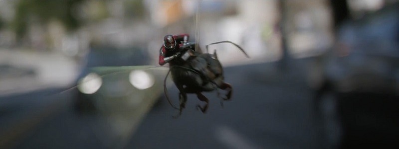 Кадры «Человека-муравья и Оса» показывают героев больших и маленьких