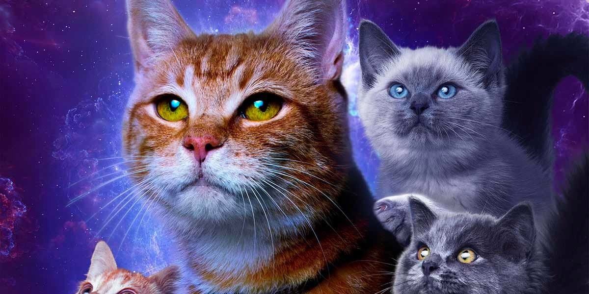Гуся и другие кошки на новом постере фильма «Капитан Марвел 2»