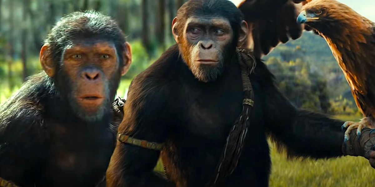 Кто такой Проксимус: детали злодея фильма «Планета обезьян 4: Новое царство»