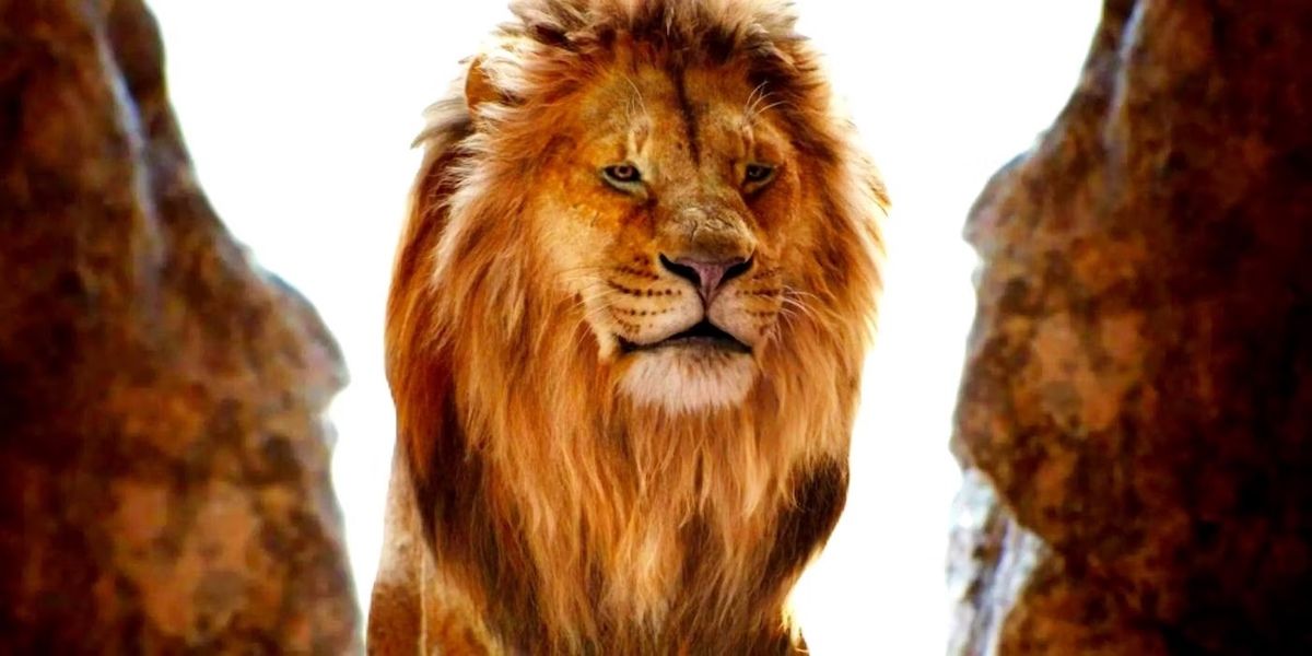 Вышли кадры фильма «Муфаса: Король Лев». На них знакомый герой в молодости