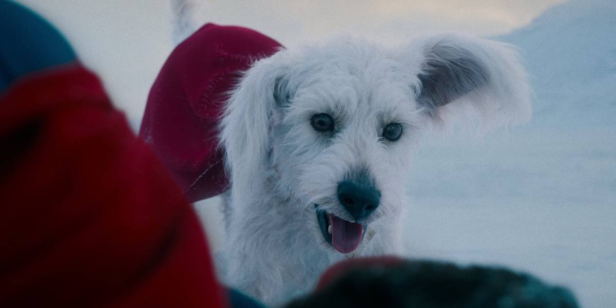 Вышла праздничная короткометражка DC Studios — это спин-офф «Супермена»