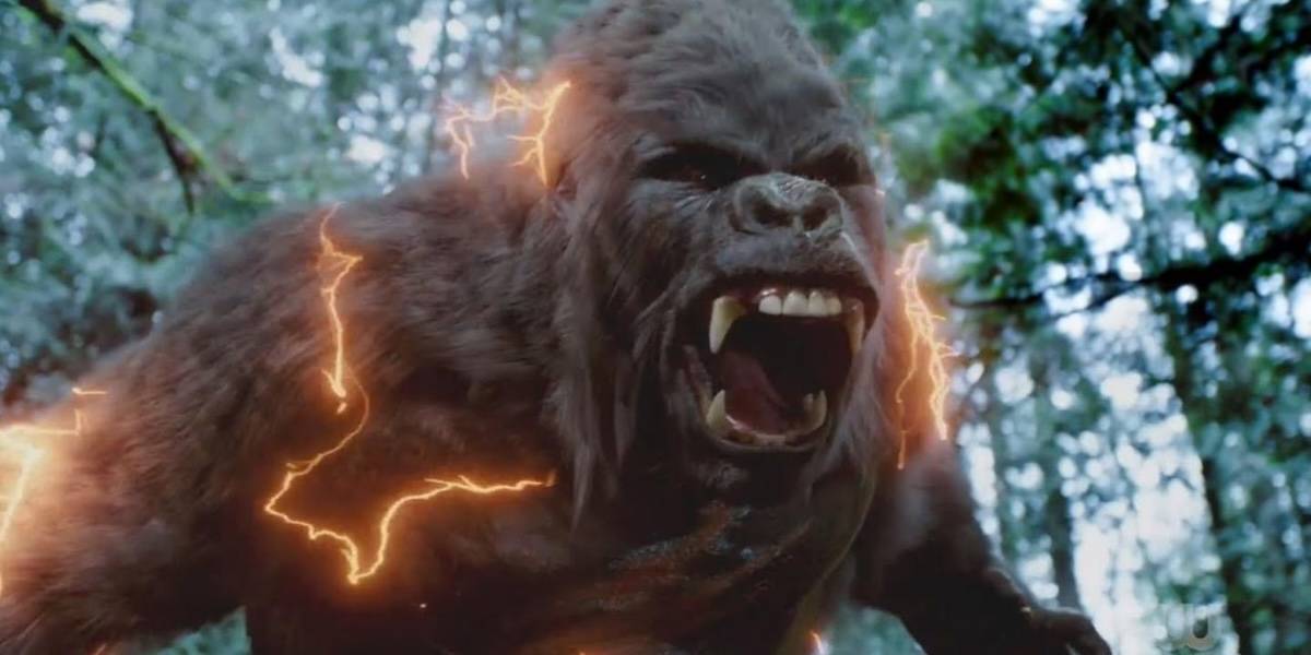 Горилла Гродд замечен на первых кадрах следующего сериала DC Studios
