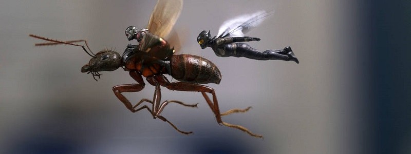Сборы фильма «Человек-муравей и Оса» обошли первую часть
