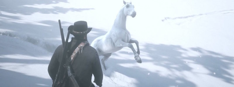 Где найти лучшую лошадь в Red Dead Redemption 2. Гайд