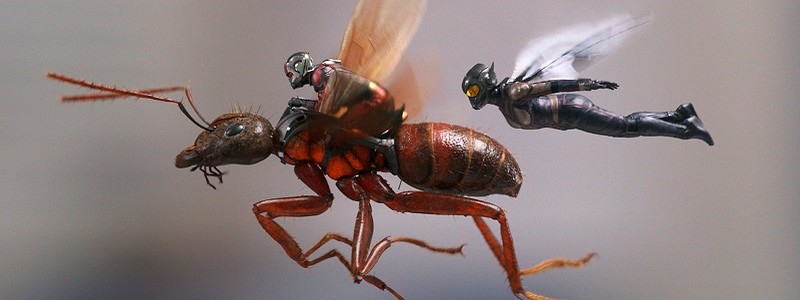 Представлен новый трейлер фильма «Человек-муравей и Оса». Что в нем показали?