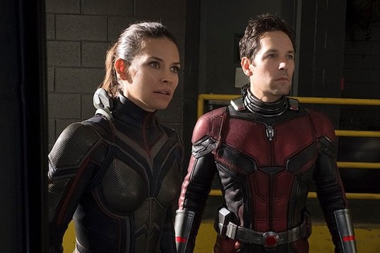 Подтверждена дата выхода фильма «Человекмуравей и Оса