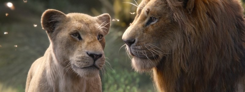 Disney хотят сделать продолжение «Короля Льва»