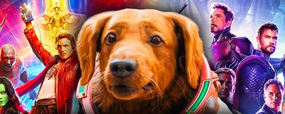 Объяснение, кто такая собака Космо в киновселенной Marvel