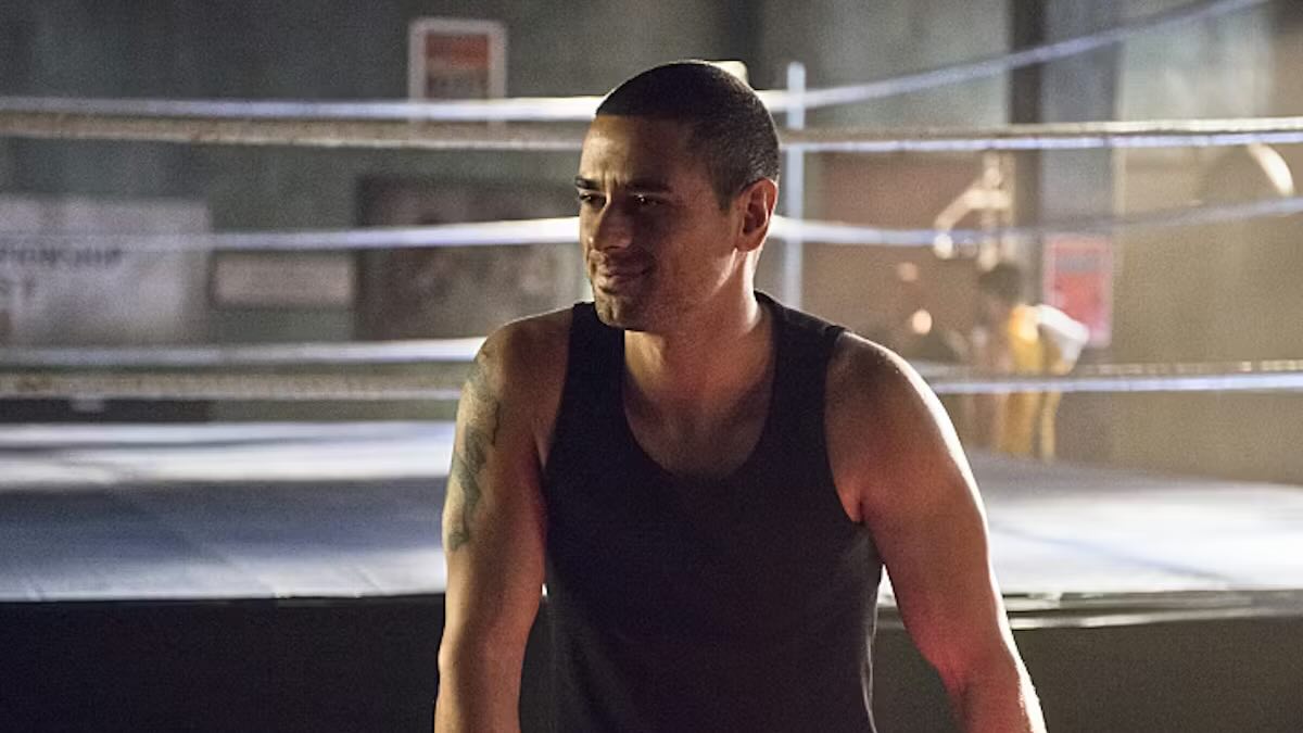 Дикий Кот из «Стрелы»