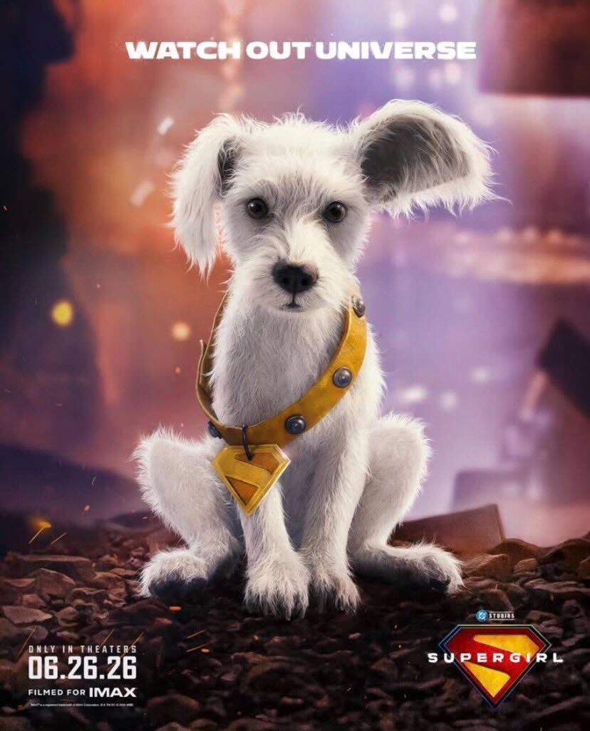 Крипто на постере «Супергерл» / DC Studios