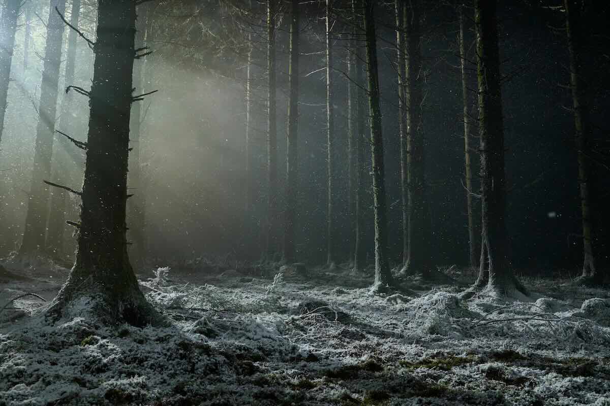 Промо-кадр фильма «Оборотень» (Werwulf)